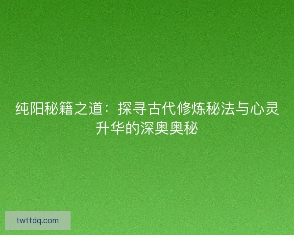 纯阳秘籍之道：探寻古代修炼秘法与心灵升华的深奥奥秘